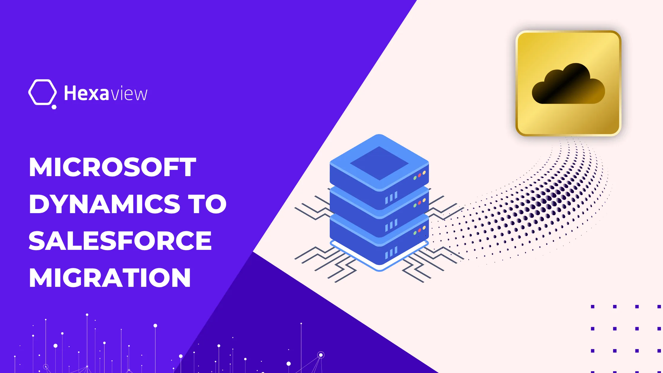 Microsoft Dynamics to Salesforce Migration