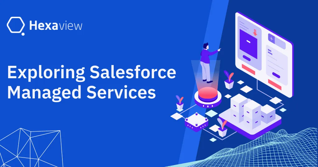 A Deeper Insight into Salesforce Managed Services