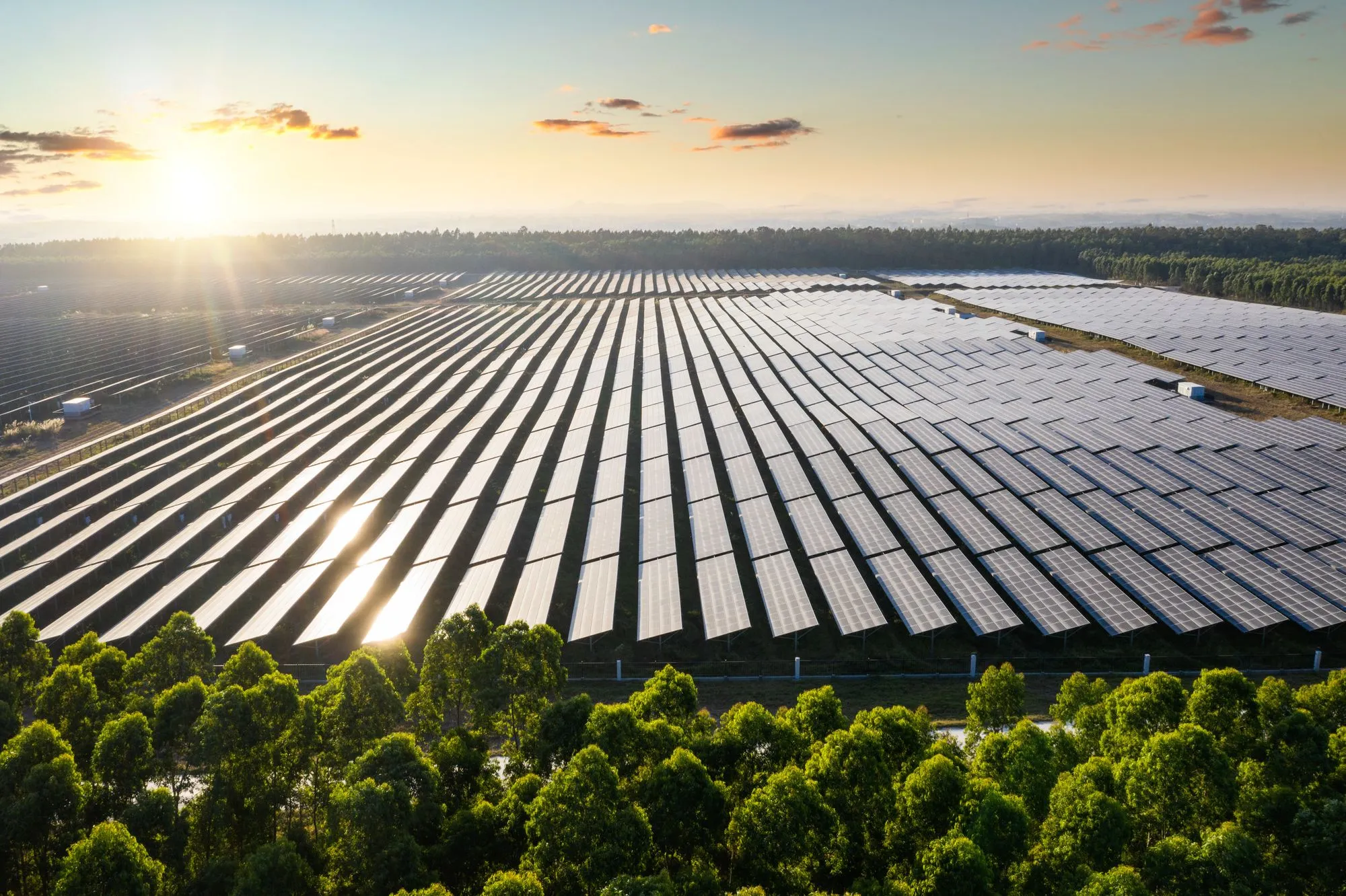 Weitläufiges Solarparkfeld mit zahlreichen Solarpanels bei Sonnenaufgang hinter Bäumen.