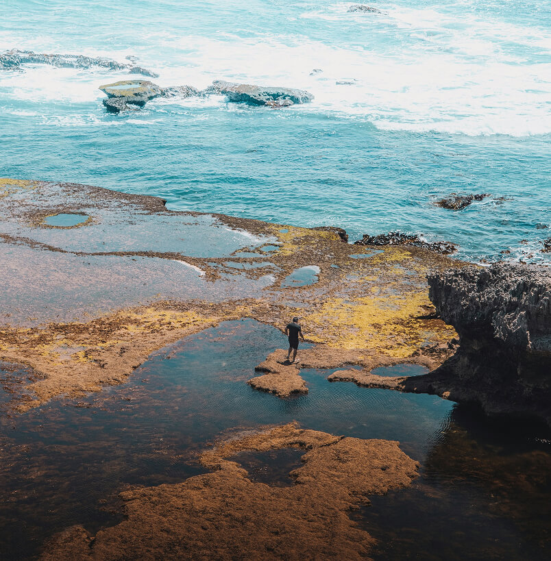 A person standing on a rocky tide pool near the ocean with waves crashing in the background.