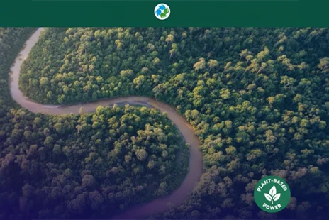 Emerging Alternative Protein Company