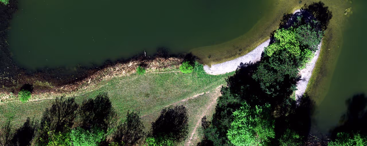 Aerial view of a green grassy peninsula with scattered trees casting shadows into a dark green water body surrounding it.