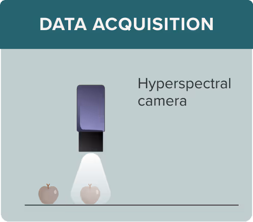 Illustration of a hyperspectral camera scanning two apples labeled under Data Acquisition.