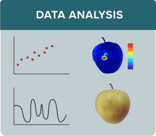 Graphic titled 'DATA ANALYSIS' showing a scatter plot, a wavy line graph, a heatmap image of an apple, and a photo of a yellow apple.