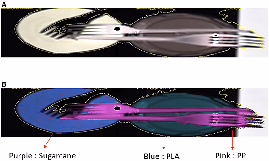 Two horizontal images of a fork partially enclosed in an oval shape; the top image is grayscale, and the bottom image is color-coded with purple for sugarcane, blue for PLA, and pink for PP with corresponding labeled arrows.