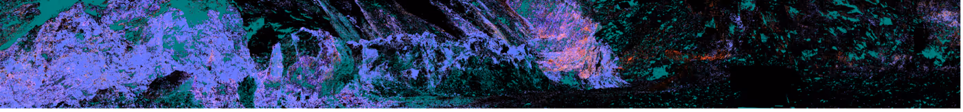 Abstract digital artwork with layered textures in green, purple, and black, resembling a chaotic natural landscape.