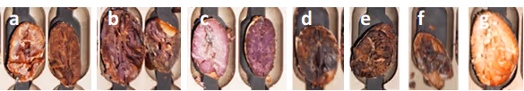 Seven cocoa beans in various stages of fermentation and drying indexed from a to g.
