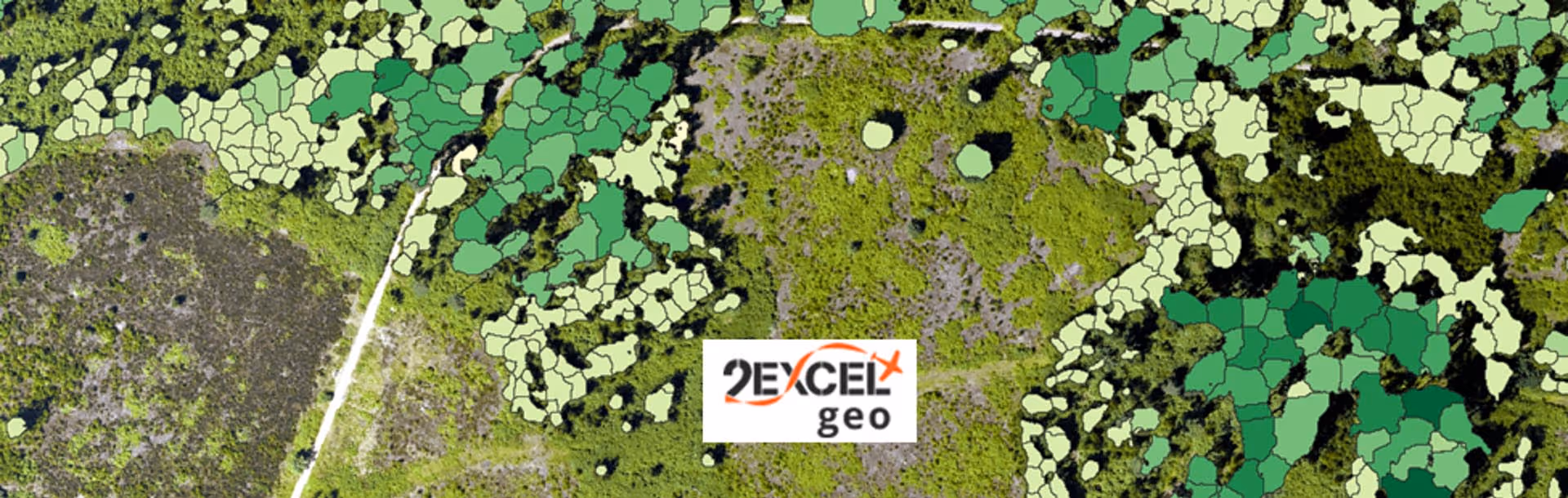 Aerial view of a green landscape with vegetation divided into irregular polygonal zones and a 2Excel Geo logo in the center.