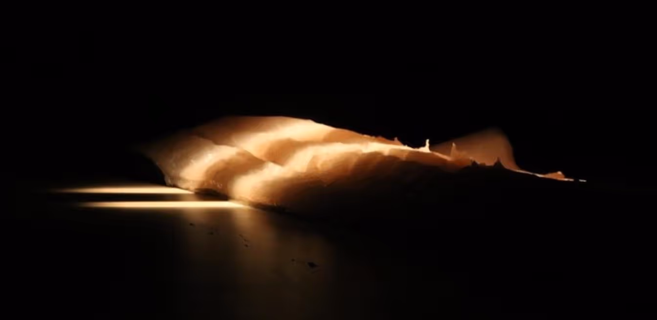 Piece of fish fillet illuminated by a warm light on a dark background.