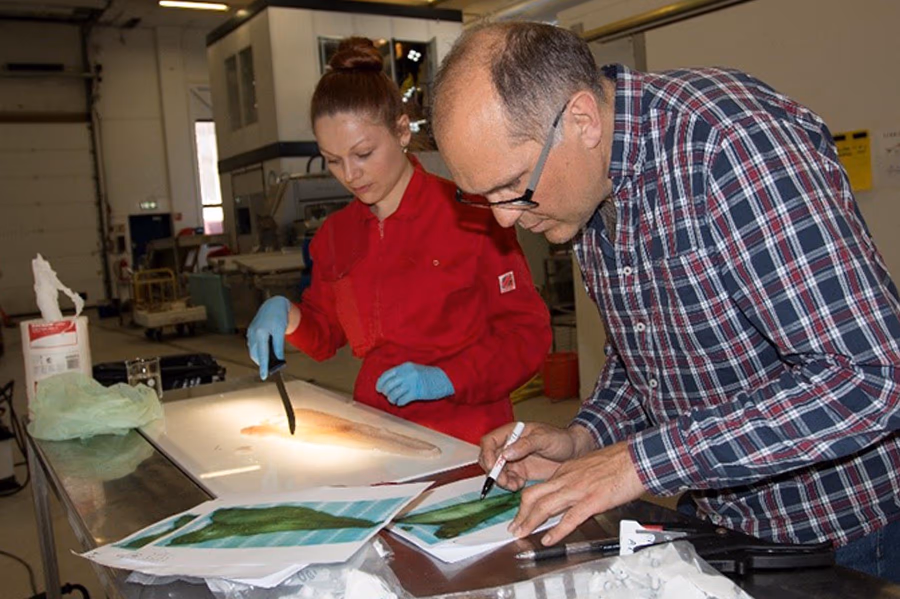 Woman in red coat wearing blue gloves cuts a fish fillet on a lit table while a man in a plaid shirt writes on papers with fish images in a laboratory setting.