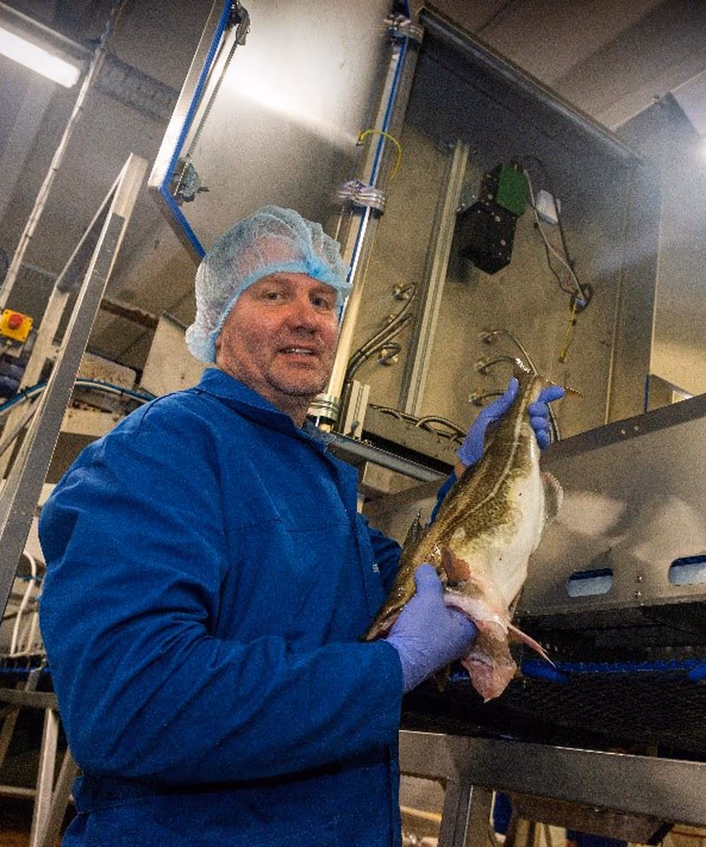 Man in blue protective clothing and hairnet holding a large fish inside a seafood processing facility.