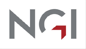 Logo with stylized grey letters 'NGI' and a red geometric shape integrated in the letter 'G'.