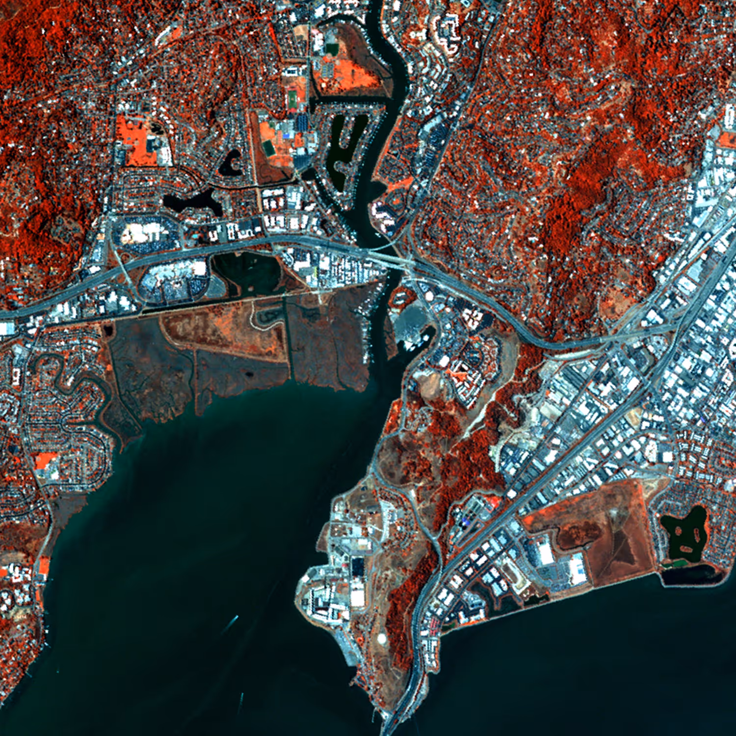 Satellite view Image of a coastal city with roads, buildings, and vegetation, showcasing hyperspectral imaging from the stratosphere