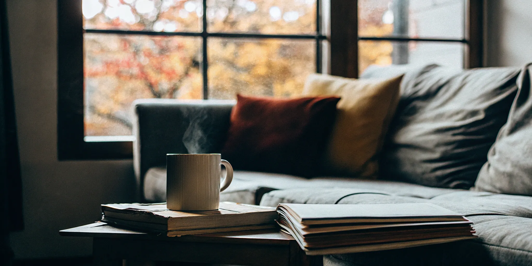 Sofa and books in a living room, the scene for a renter's credit and background check.