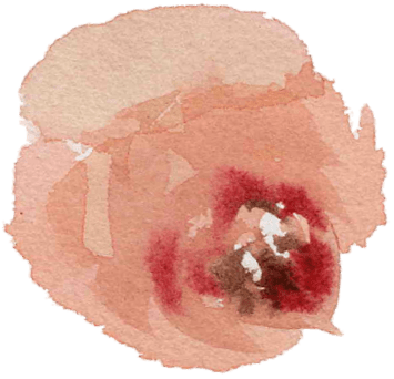 Aquarelle abstraite d'une fleur en nuances de rose, rouge et brun.