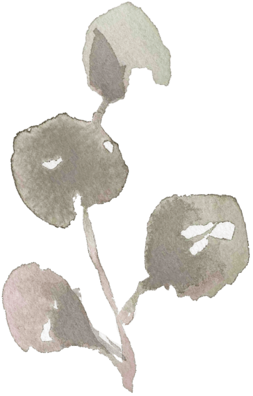 Illustration aquarelle d'une petite branche avec quatre feuilles vertes et roses pâles.