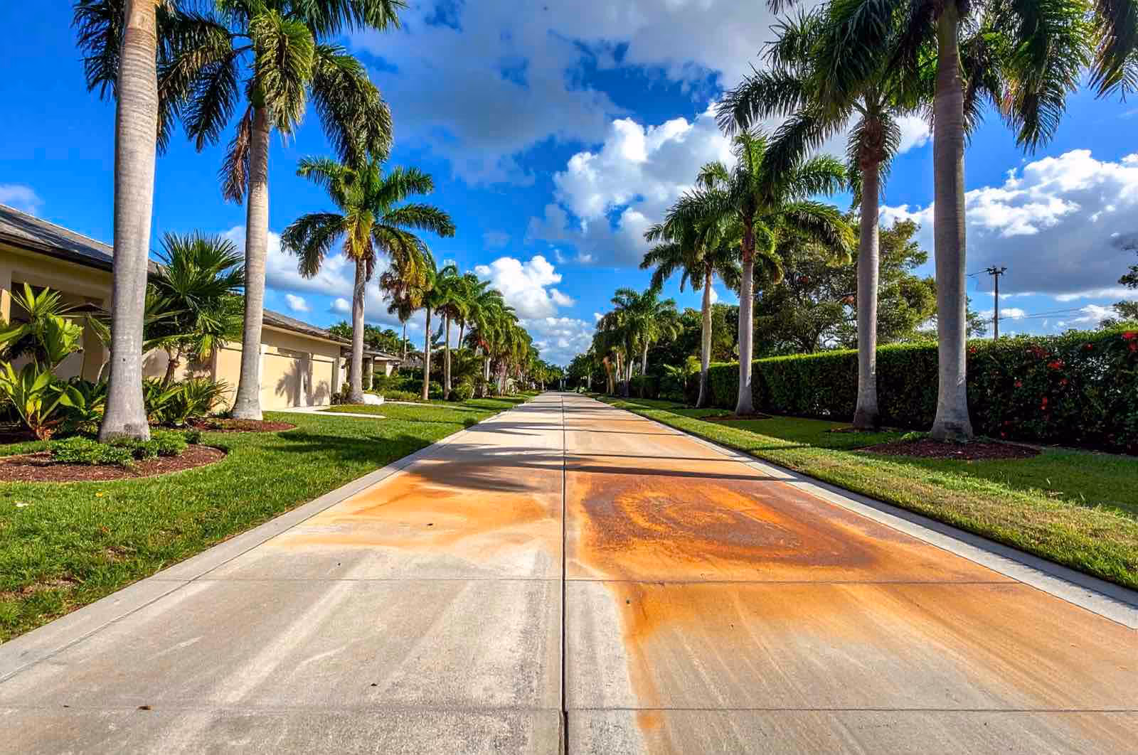 Professional irrigation rust removal Longwood by Ragin Cajun Soft Wash treating iron oxide streaks on concrete