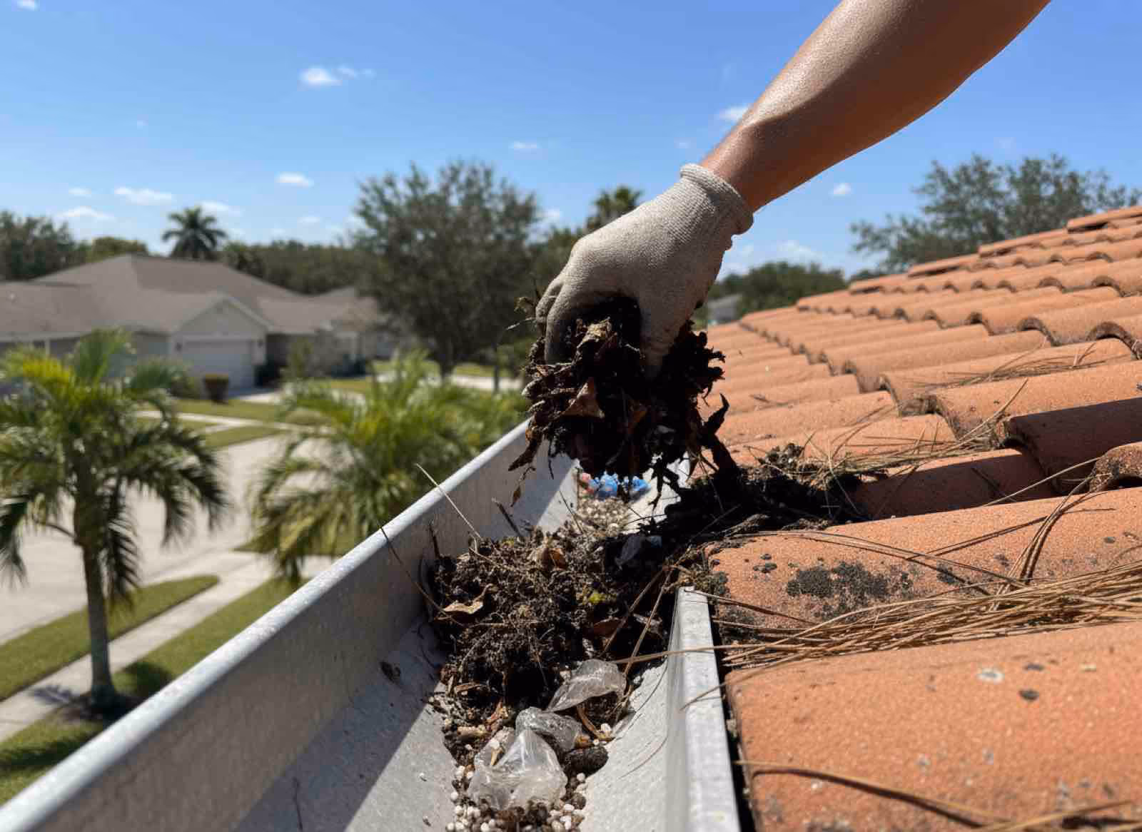 Emergency gutter debris removal clearing fallen palm fronds and organic matter near Reiter Park