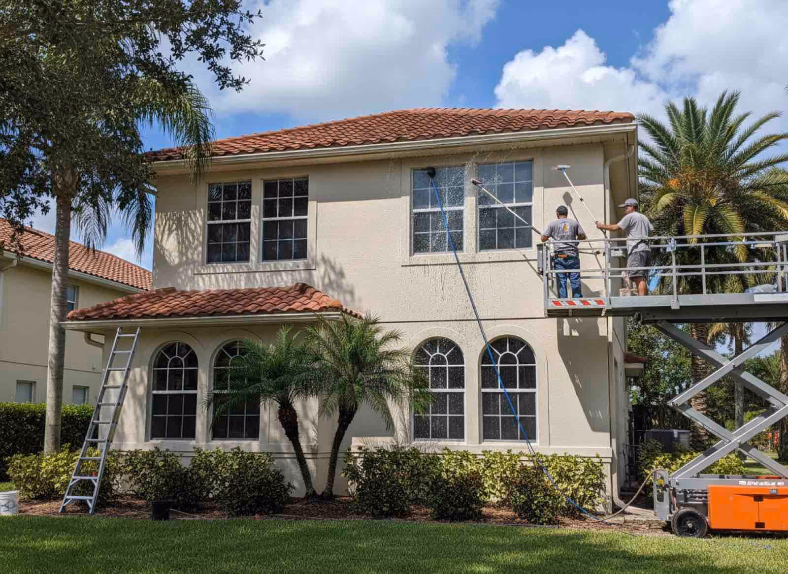 Before and after exterior window cleaning showing removed algae stains and restored clarity on home windows