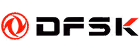 DFSK Logo
