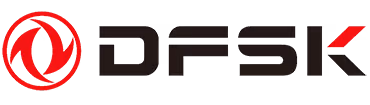 DFSK Logo
