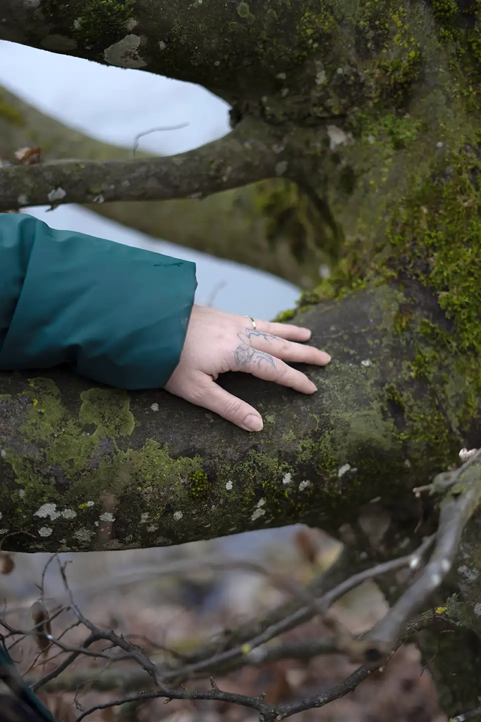 Hand mit Ring und Tätowierung berührt moosbedeckten Baumstamm im Wald.