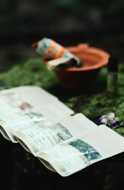 Open booklet with botanical illustrations and notes on a mossy surface, with a terracotta bowl and burning sage bundle in the blurred background.