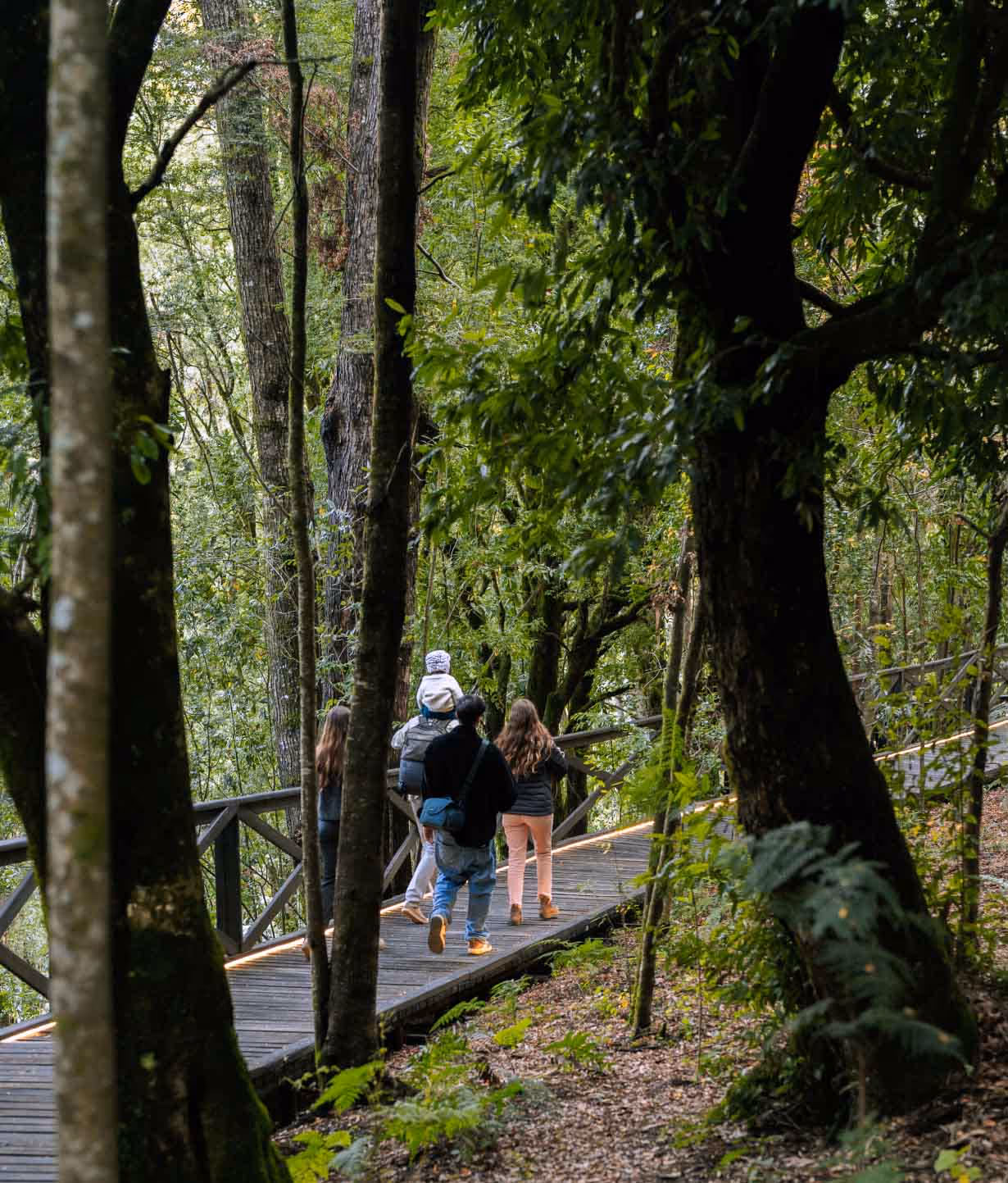 Familia caminando por los senderos rodeados de botánica del parque