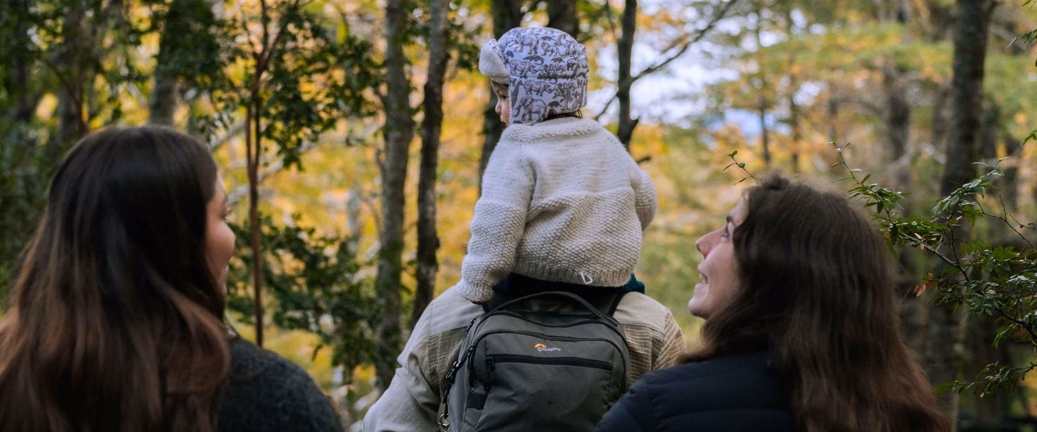 El Parque Termal Botánico: un espacio que combina ciencia, relajo y descanso a tan sólo 15 kilómetros de Pucón