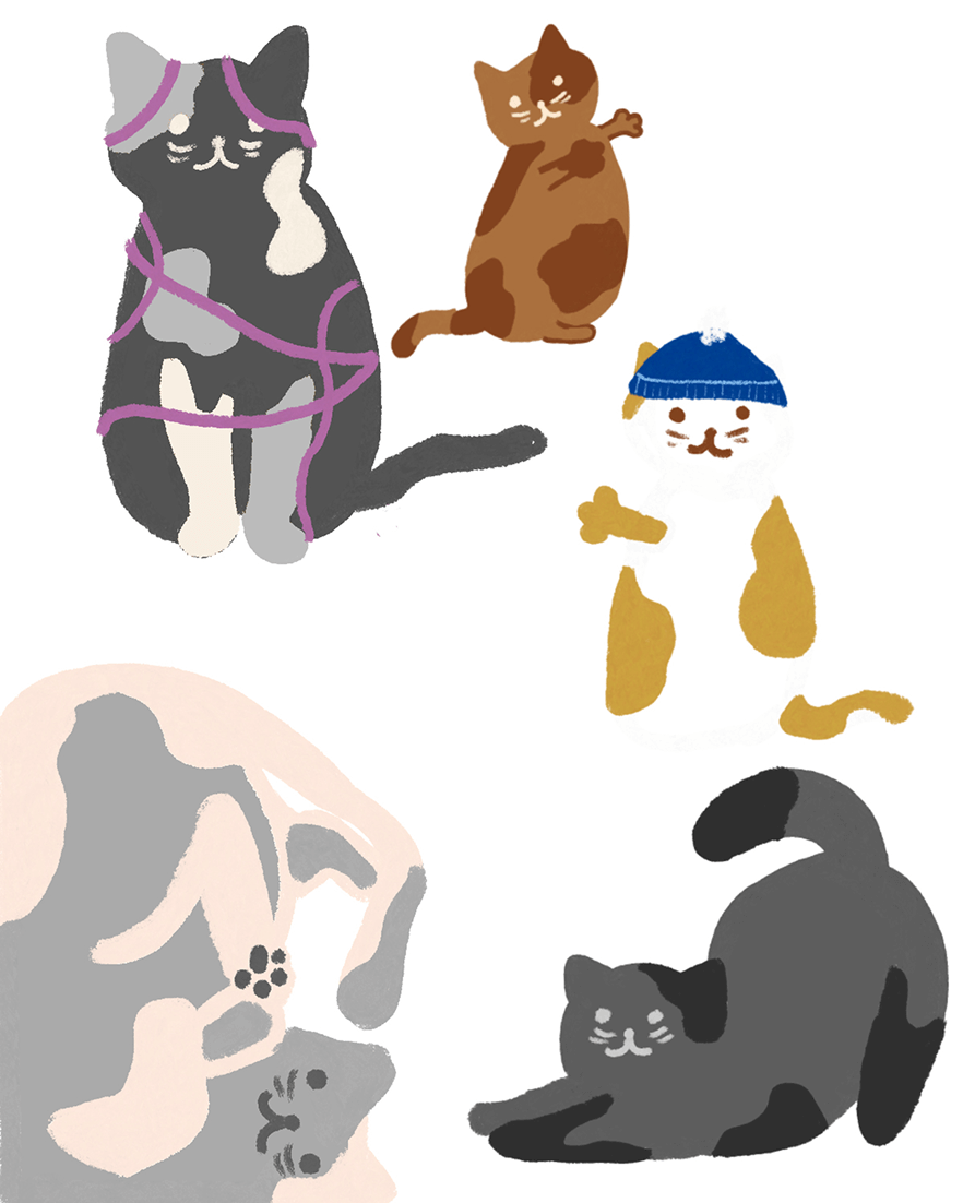 Illustration of five cats in different poses and colors, including one wrapped in purple yarn and another wearing a blue knit hat.