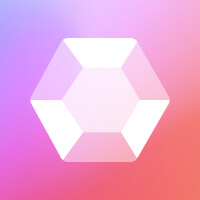 Standard Icon - App X Webflow Template