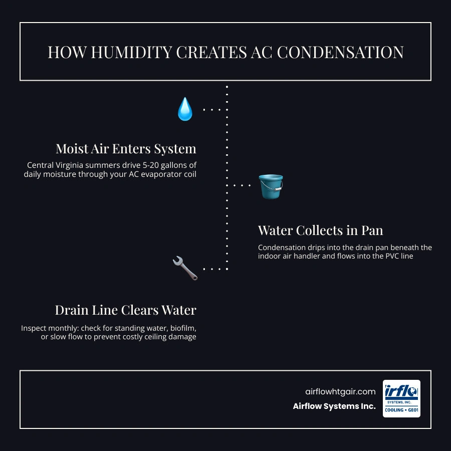 Step-by-step infographic showing how humidity creates AC condensation and how to inspect a condensate drain line infographic
