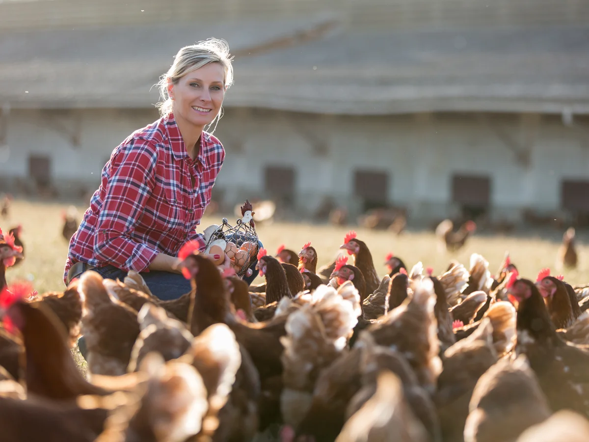 A woman in a plaid shirt crouches on a sunny farm, smiling among a flock of chickens. She holds a basket of eggs, evoking a sense of rural tranquility.