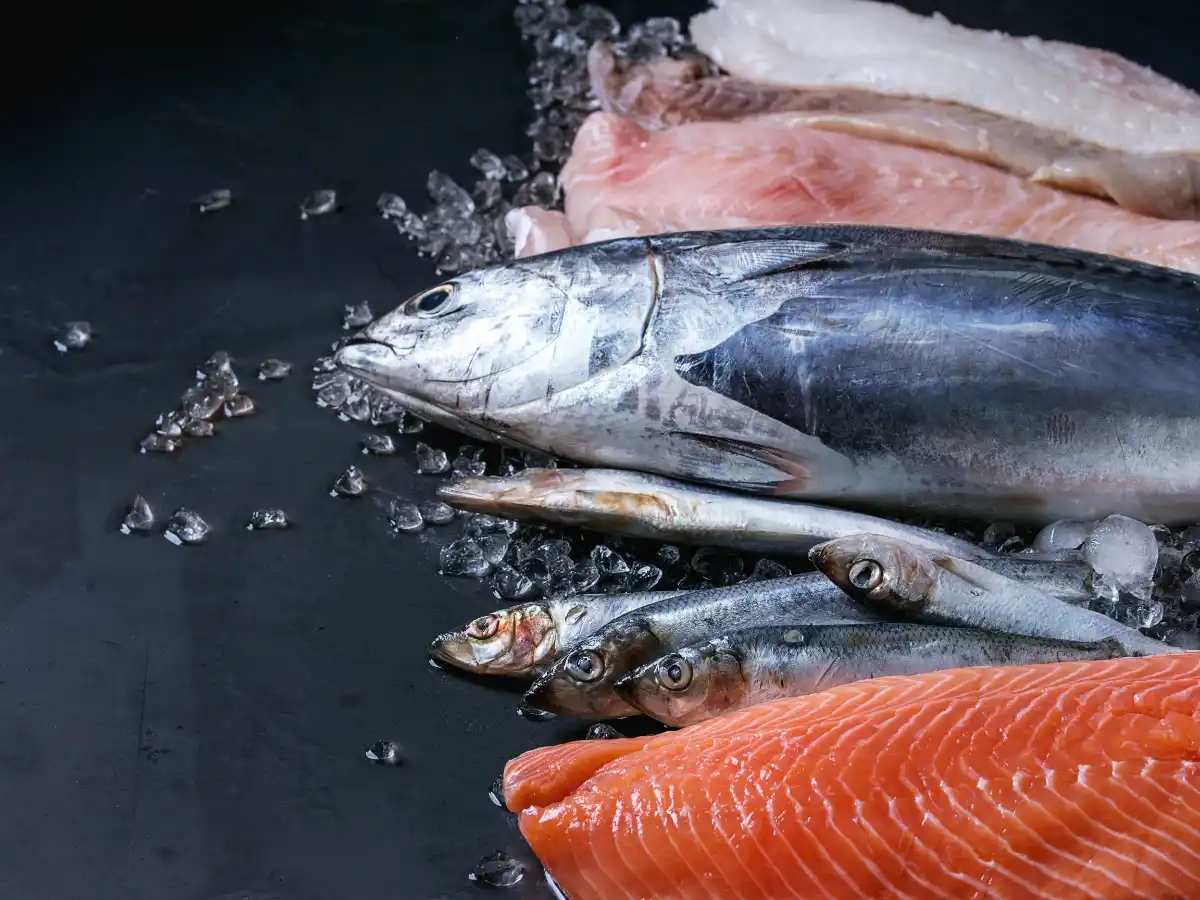 Various fresh fish and fillets on ice, including whole tuna, sardines, and salmon. Displayed on a dark surface, conveying freshness.