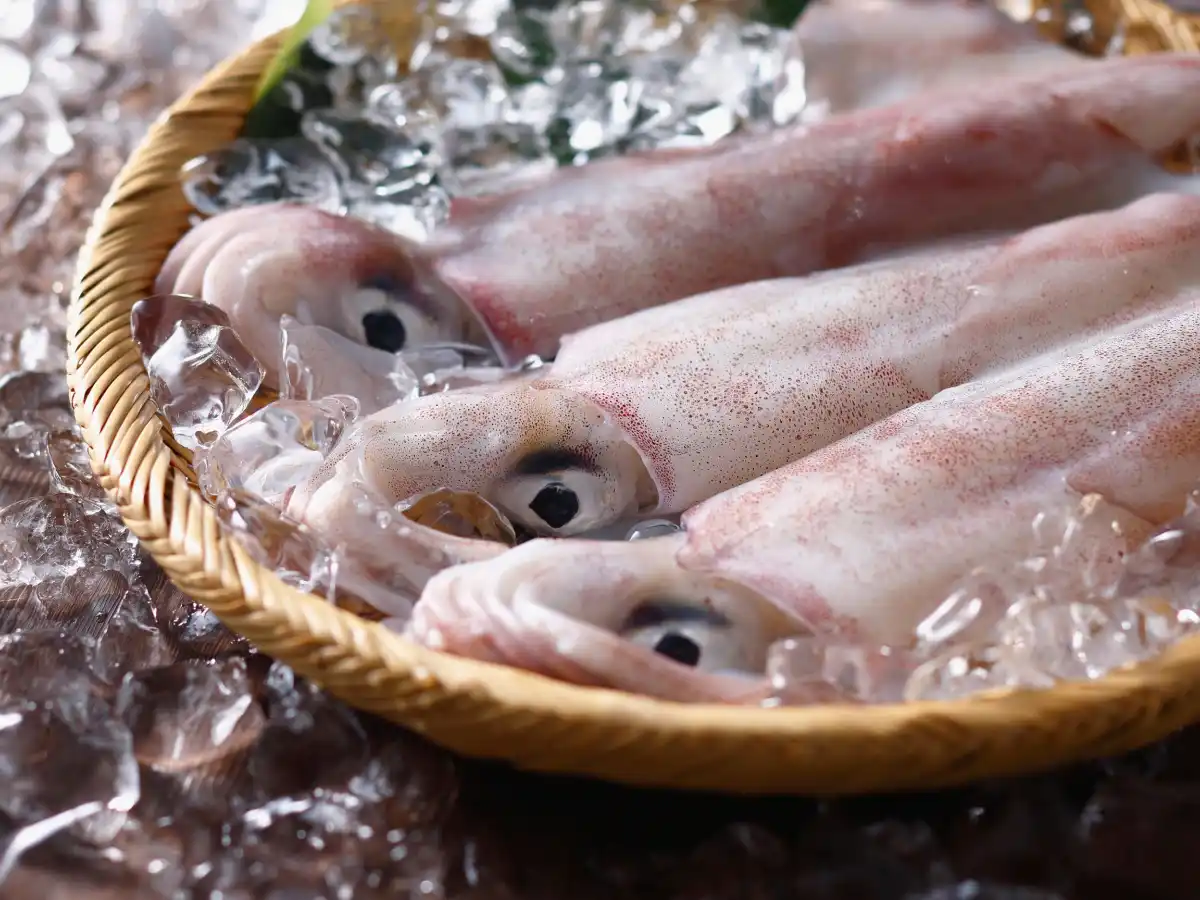 Fresh squid on ice in a woven basket, displaying a shiny, slightly pink flesh. The scene suggests a crisp, marine freshness, ready for cooking.