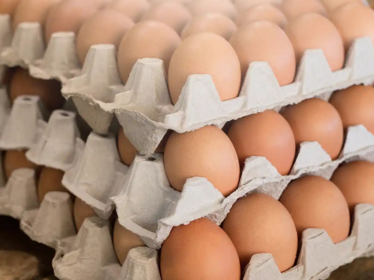 Stacks of fresh brown eggs are neatly arranged in cardboard trays. The image conveys abundance and simplicity, highlighting their smooth texture.