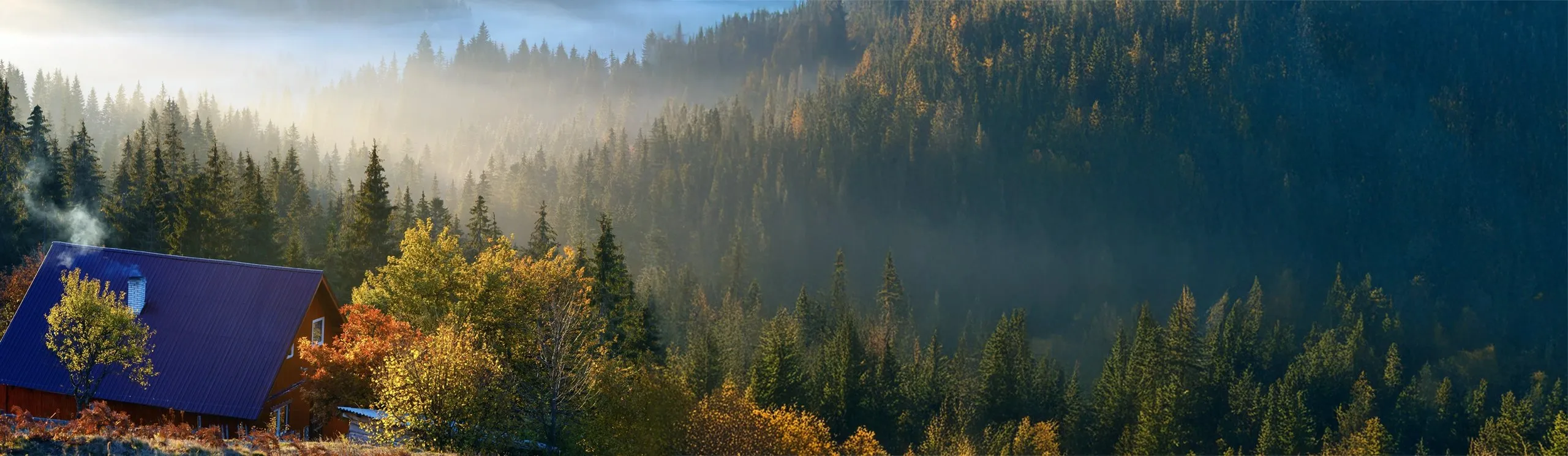 Aerial view of a cozy cabin nestled in a misty, forested mountainside at sunrise.