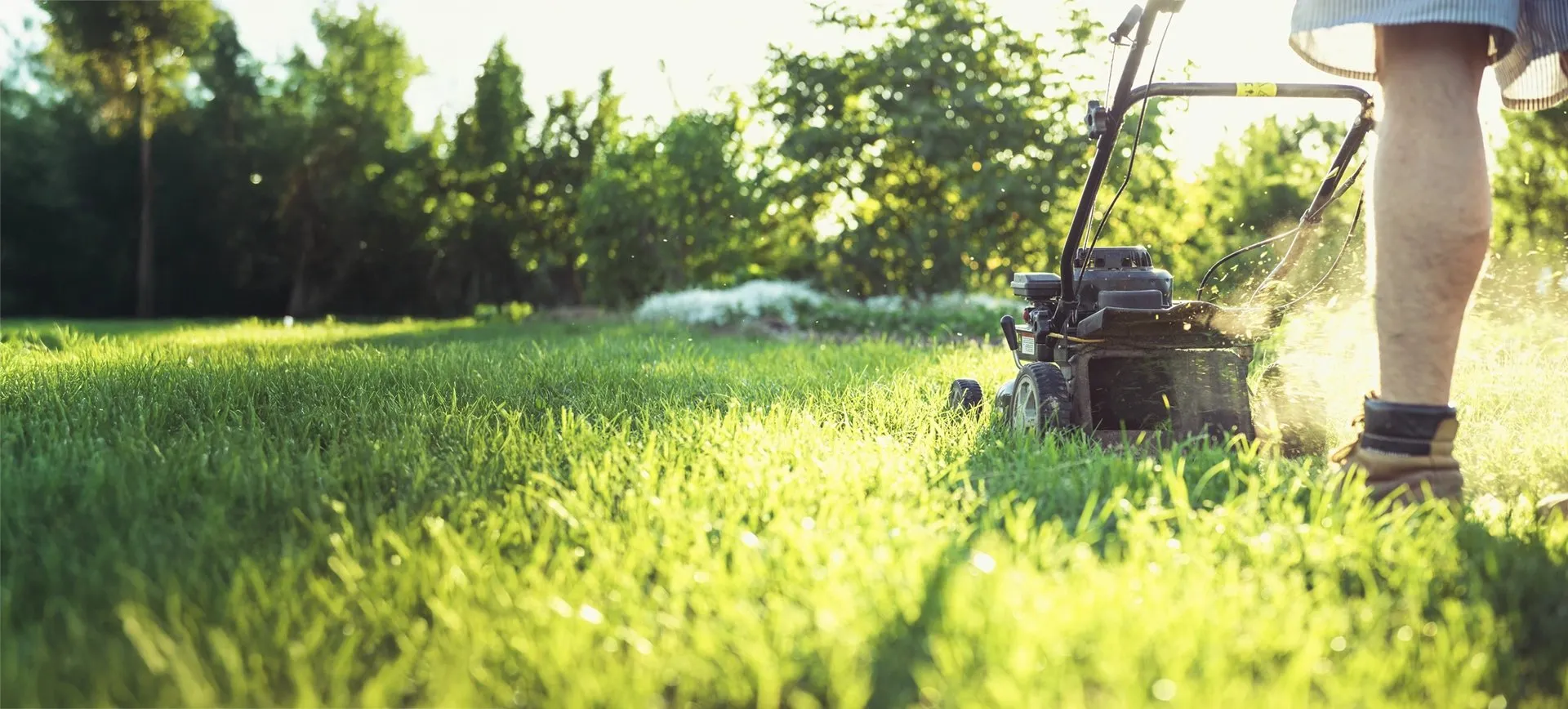 Close-up of a lawn mower cutting fresh green grass in a sunny yard.