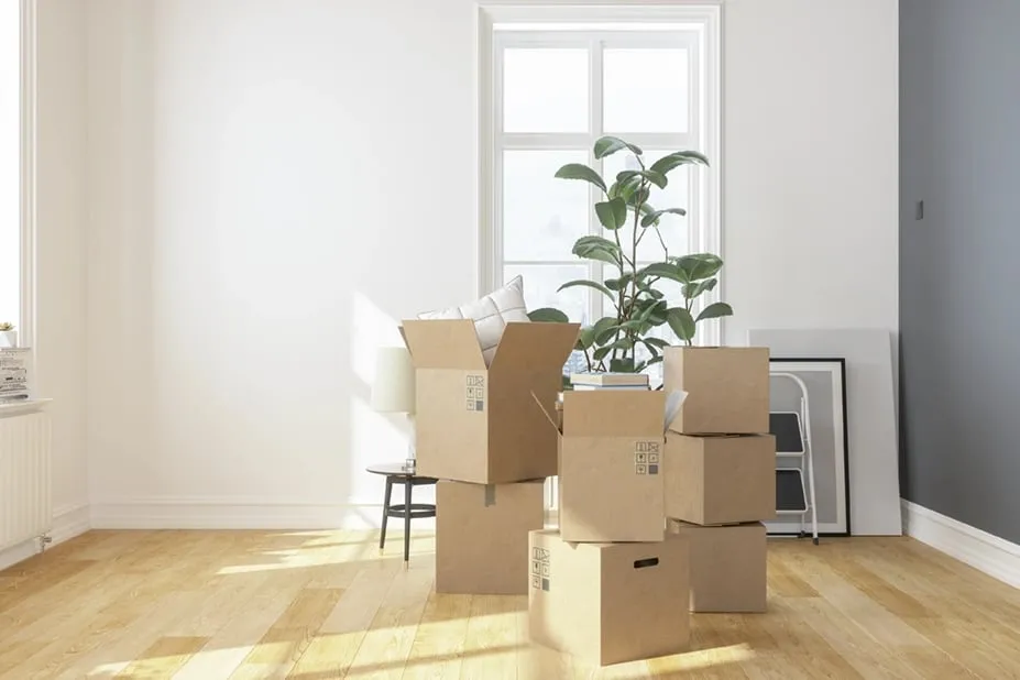 Bright, sunlit living room with moving boxes and a leafy plant, ready for move-in day.