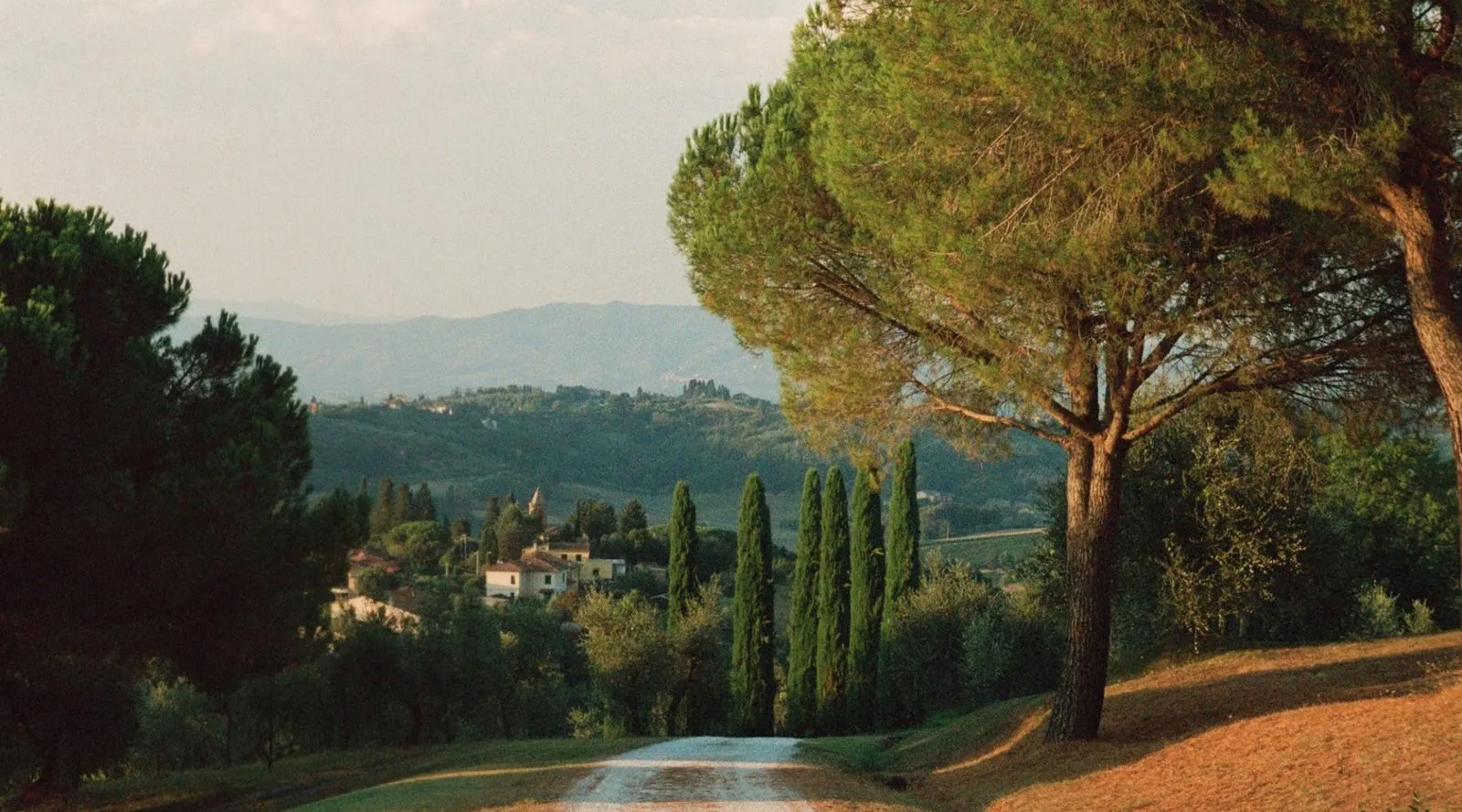 Scenic landscape view with trees and calm water, used as video preview.
