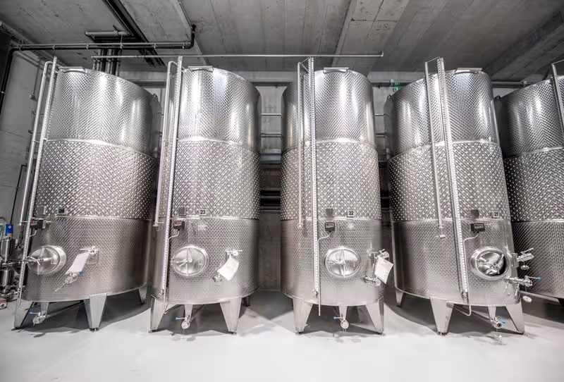 Rows of large stainless steel fermentation tanks in a winery, reflecting bright overhead light.