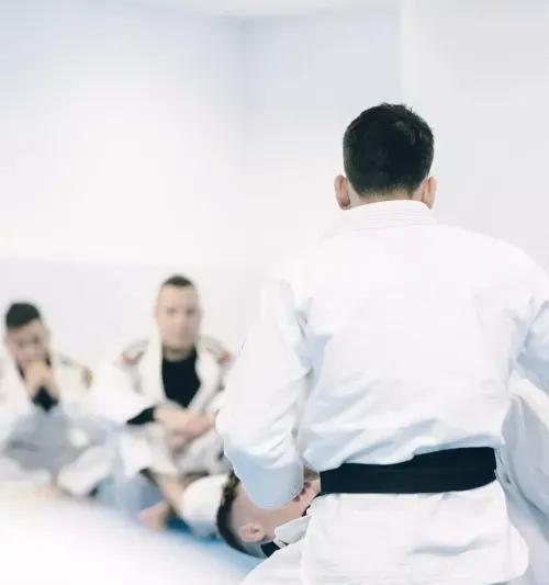 Men practicing taekwondo in a training session