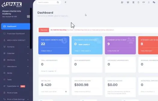 Dashboard interface of Spark Basic showing metrics like website visits, new contacts, active clients, and financial summaries.