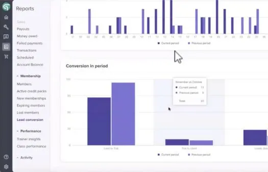 Dashboard screen showing bar charts for sales and lead conversion data with navigation menu on the left side.