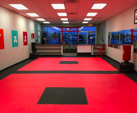 Community Karate Center mats