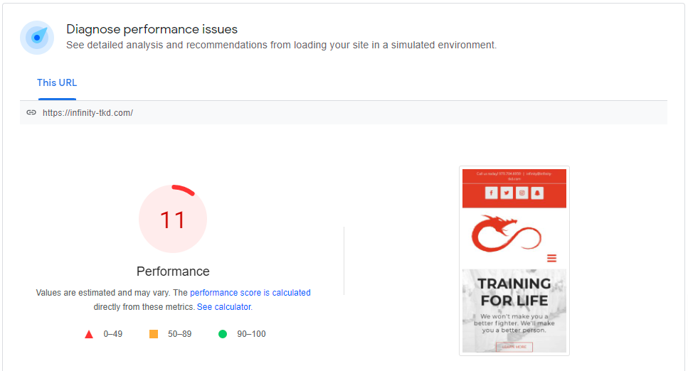 TKD infinity PageSpeed result