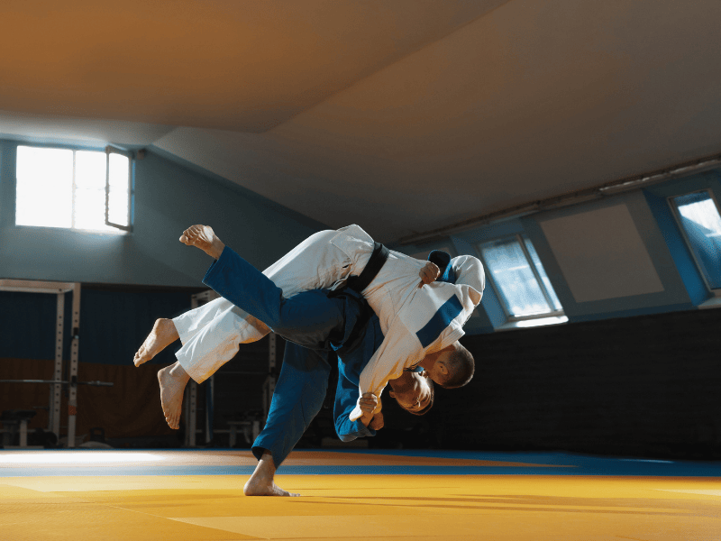 Traditional Judo For Beginners