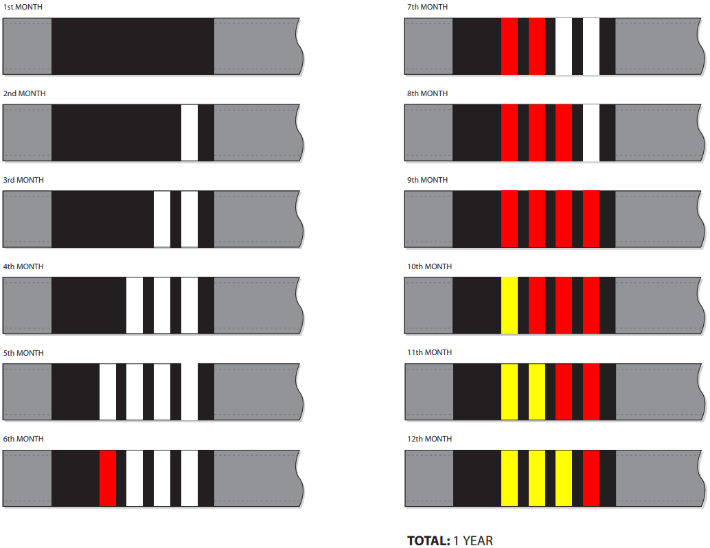monthly system IBJJF belts