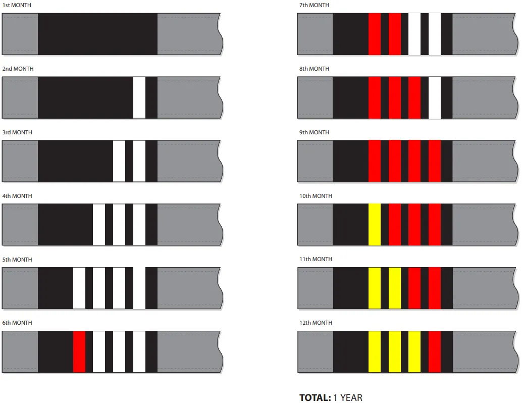 monthly system IBJJF belts