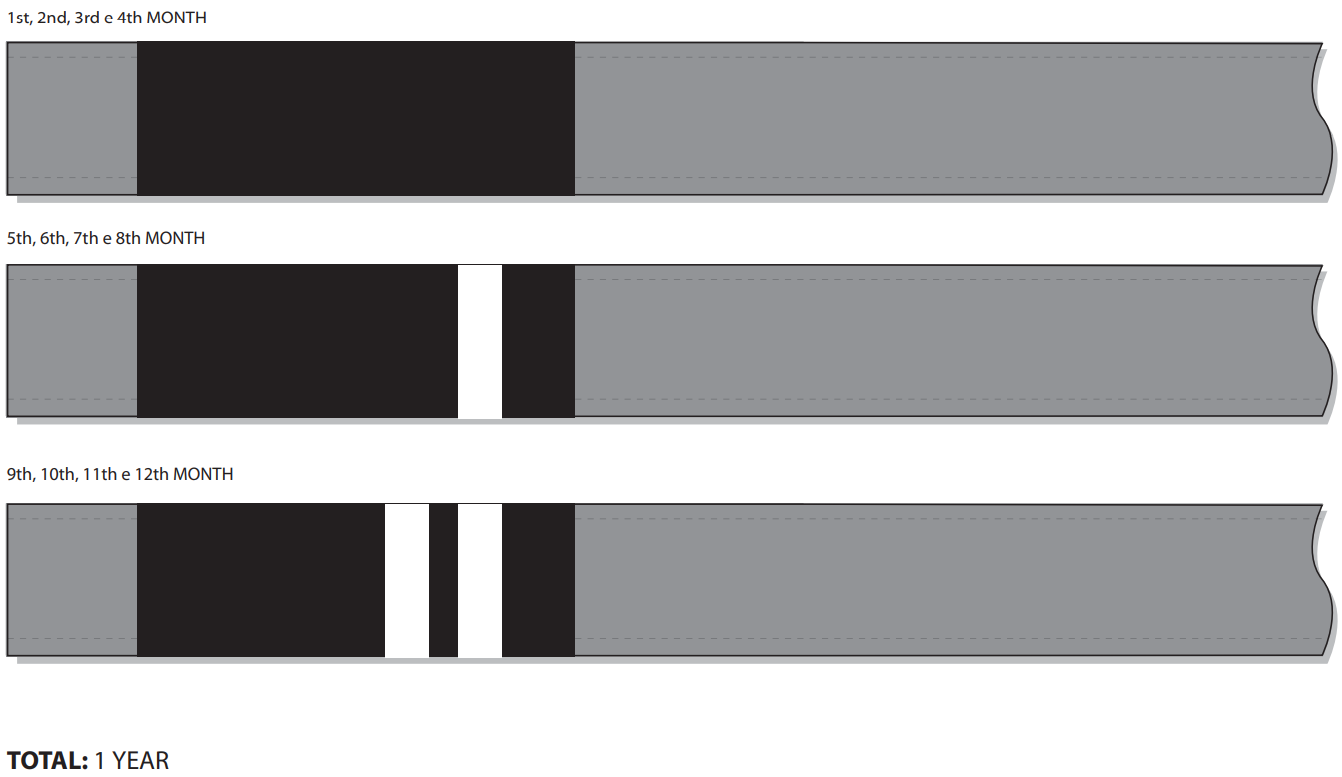IBJJF triannual system belts